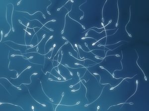Estudio de laboratorio relacionado con análisis de semen