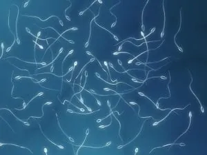 Espermiograma y análisis de semen