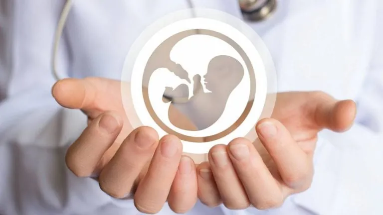 Estudios de fertilidad y reproducción