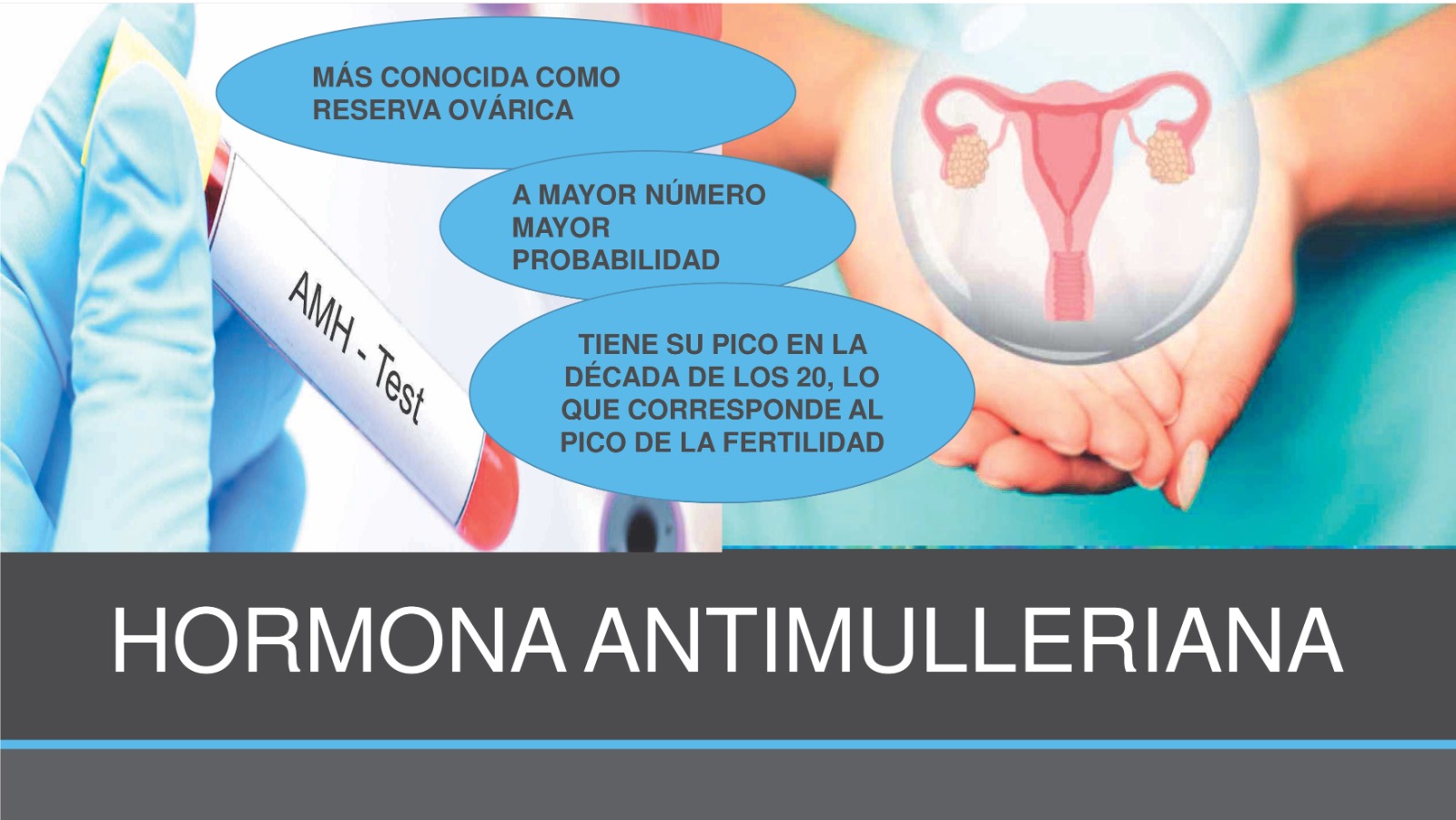Laboratorio Dr. Manuel Oliver